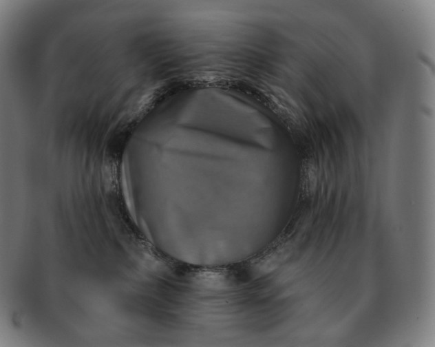 X0000091290236200708241036