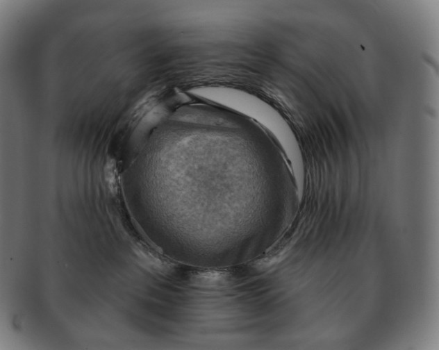 X0000091290237200708241036