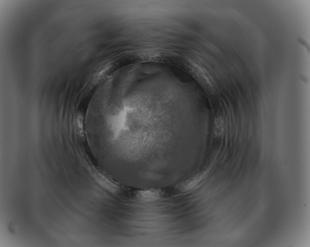 X0000091290238200708241036