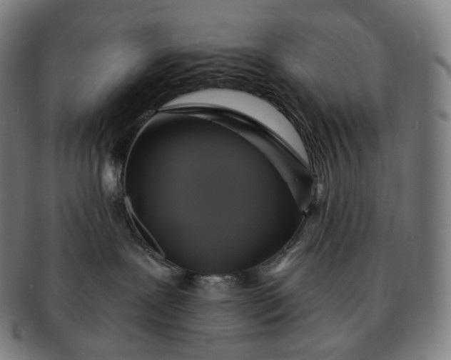 X0000091290239200708241036