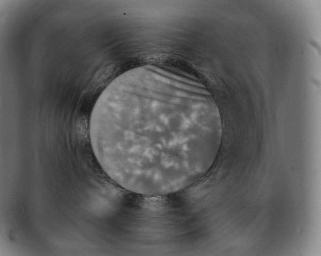 X0000091290240200708241036