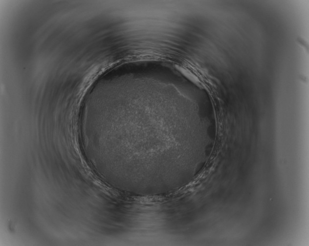 X0000091290241200708241035