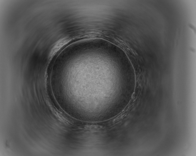 X0000091290242200708241035