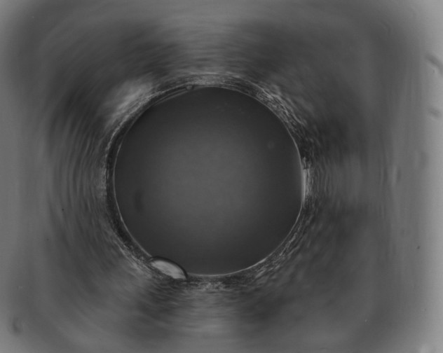 X0000091290243200708241035