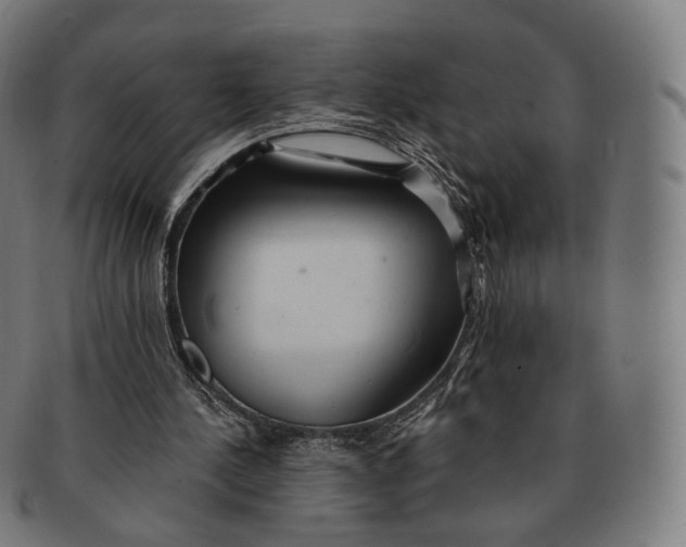 X0000091290244200708241035