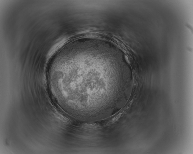 X0000091290245200708241035