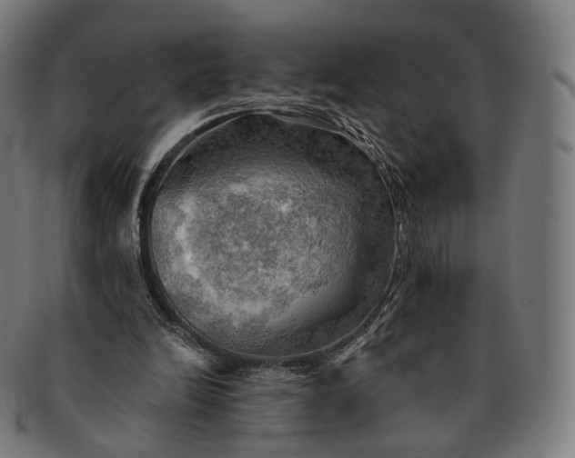 X0000091290246200708241035