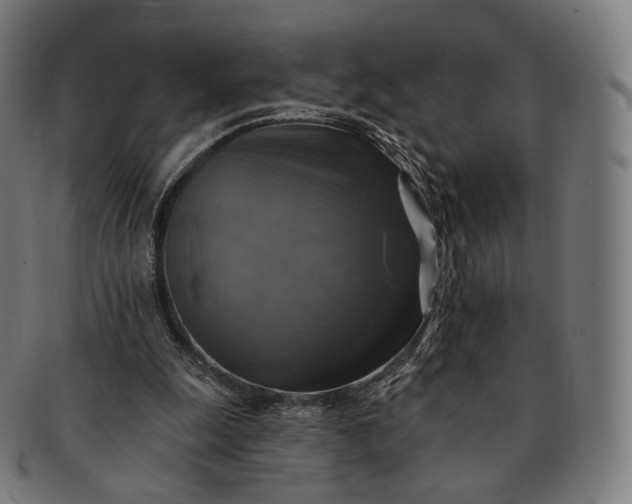 X0000091290247200708241035