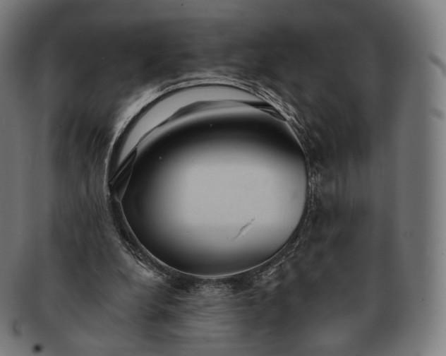 X0000091290248200708241035