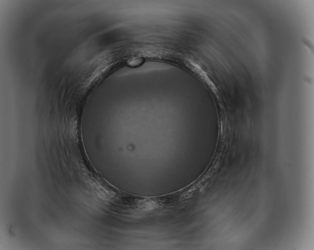 X0000091290249200708241035