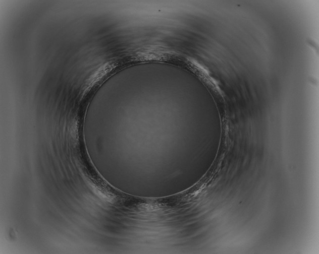 X0000091290250200708241035