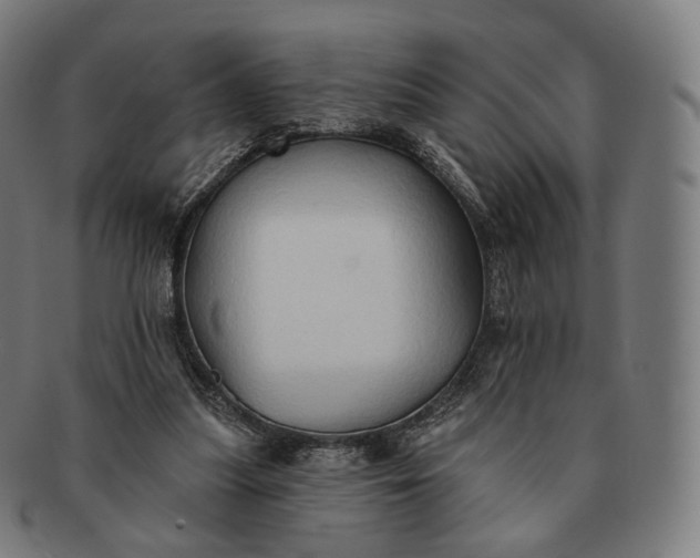 X0000091290251200708241035