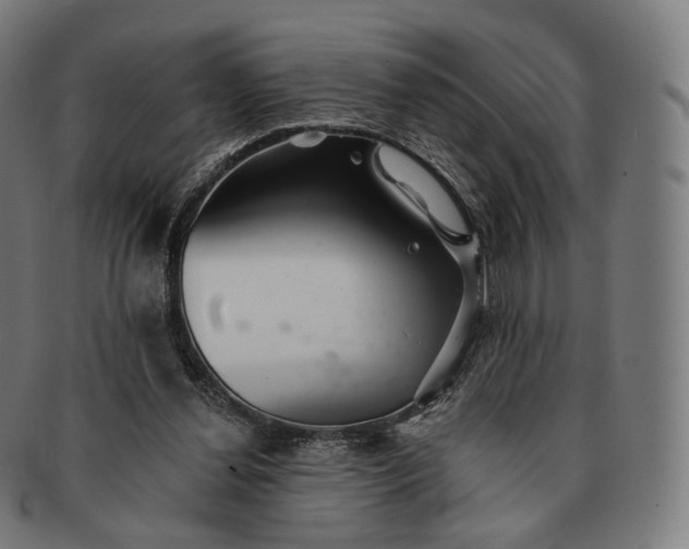 X0000091290252200708241035