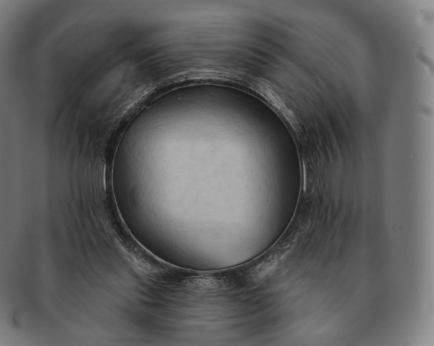 X0000091290253200708241035