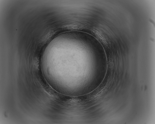 X0000091290255200708241035