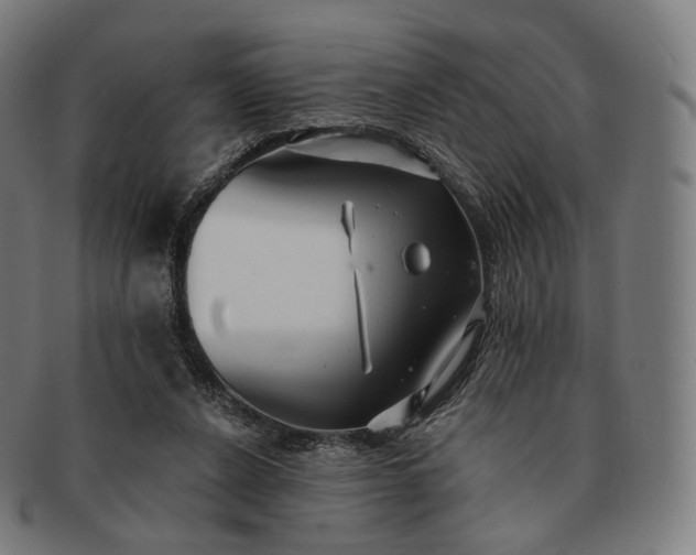 X0000091290256200708241035