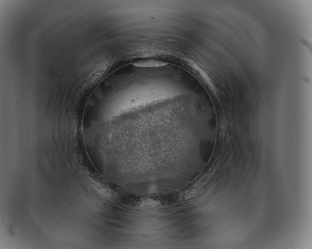 X0000091290257200708241035