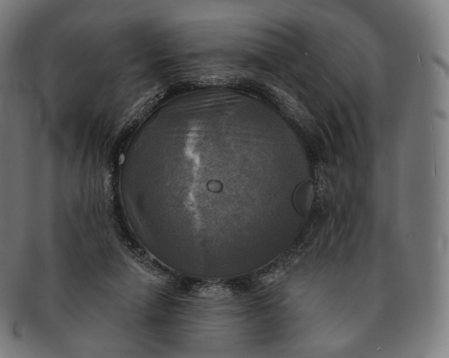 X0000091290258200708241035