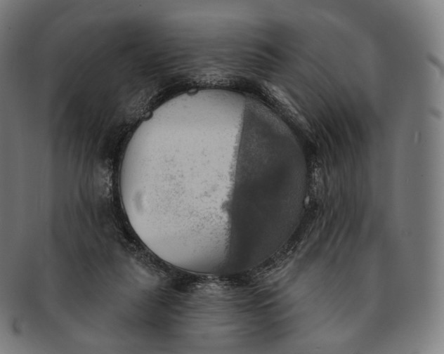 X0000091290259200708241035