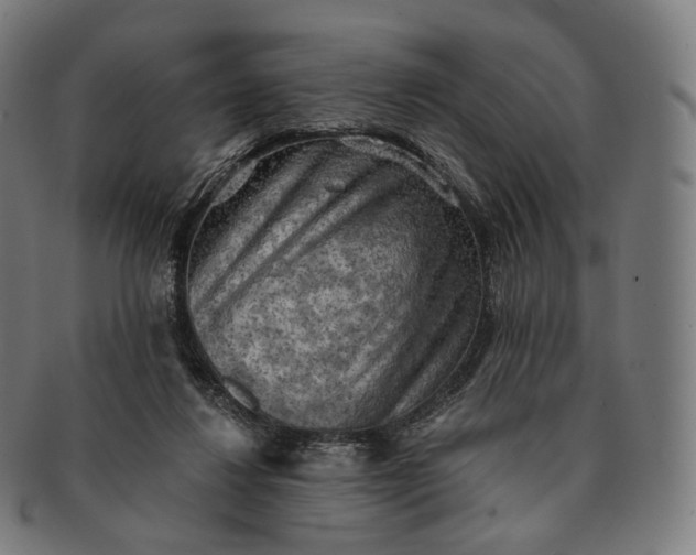 X0000091290260200708241035