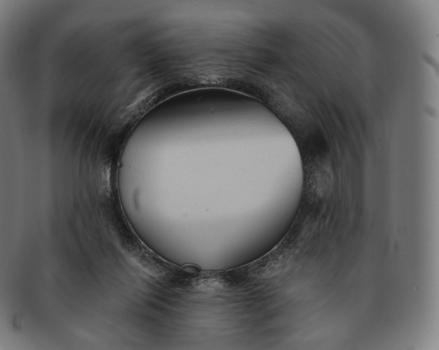 X0000091290262200708241035