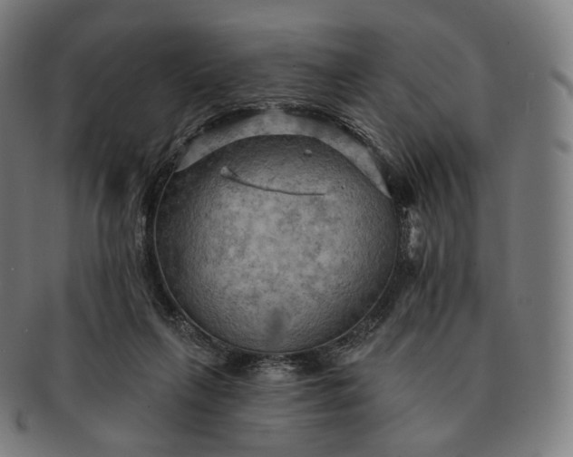 X0000091290263200708241035