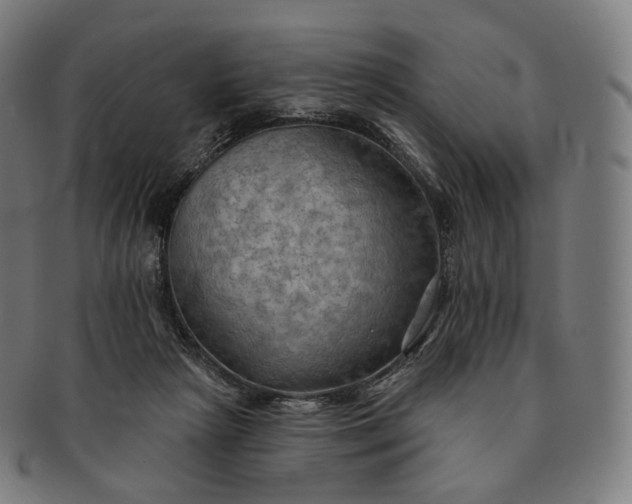 X0000091290265200708241035