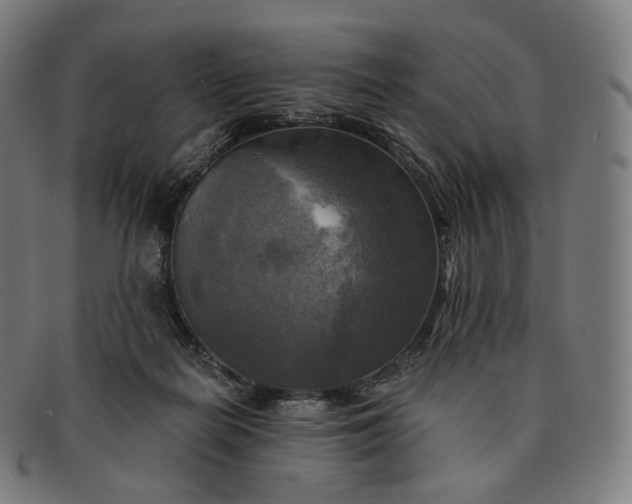 X0000091290266200708241035