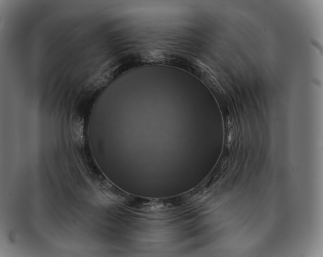 X0000091290267200708241035