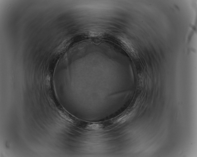 X0000091290269200708241035