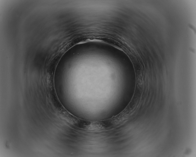 X0000091290270200708241036