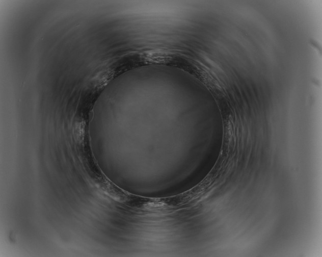 X0000091290271200708241036