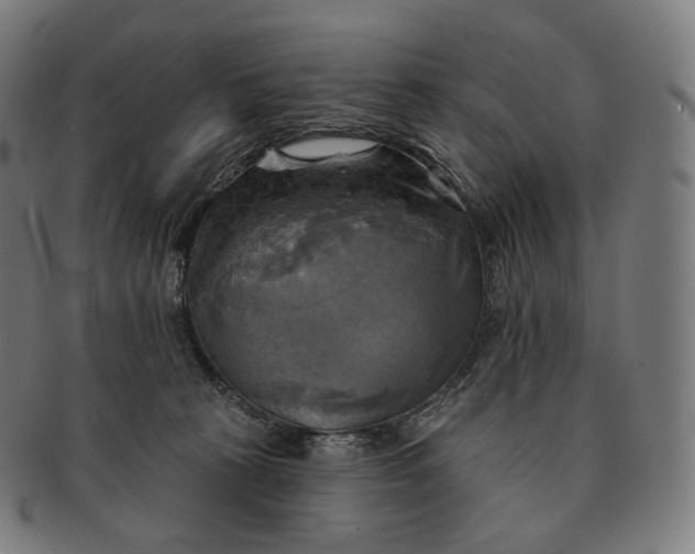 X0000091290273200708241036