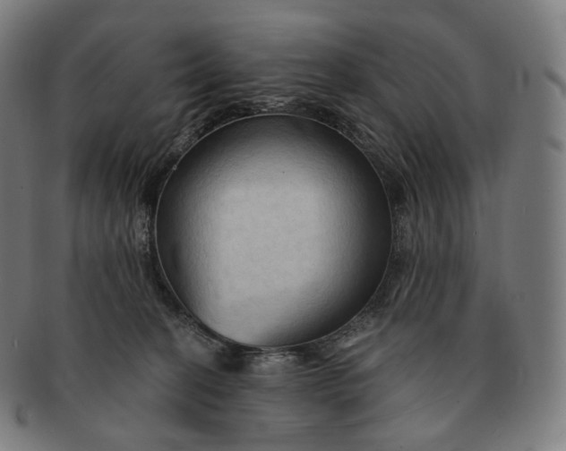 X0000091290274200708241036