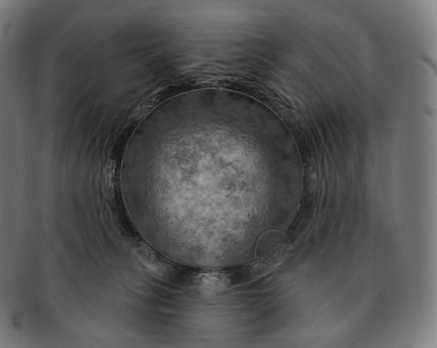 X0000091290275200708241036