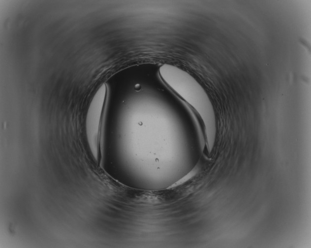 X0000091290276200708241036