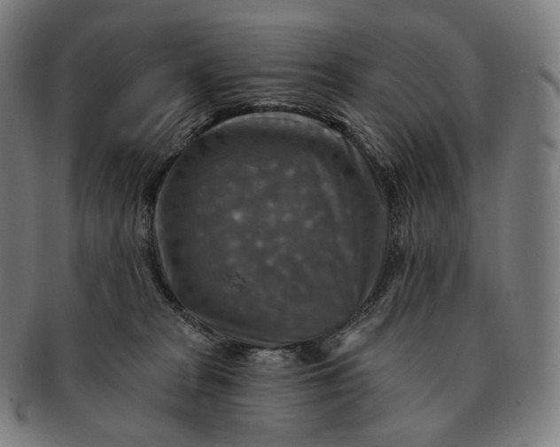 X0000091290277200708241036