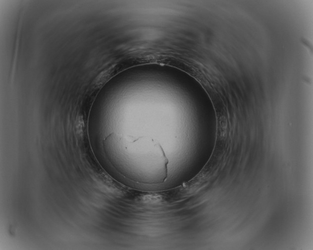 X0000091290279200708241036