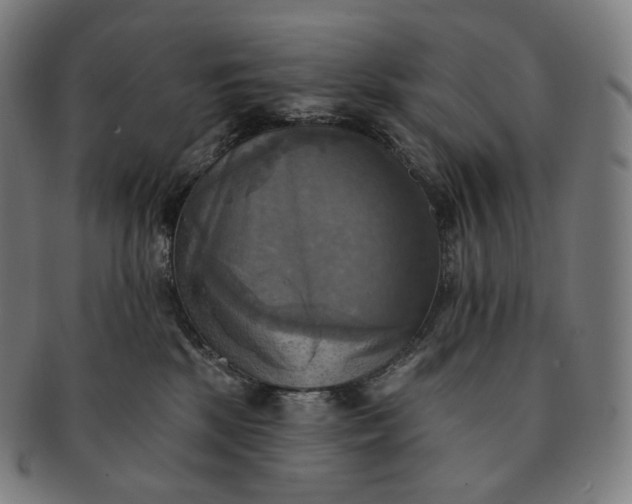 X0000091290281200708241036