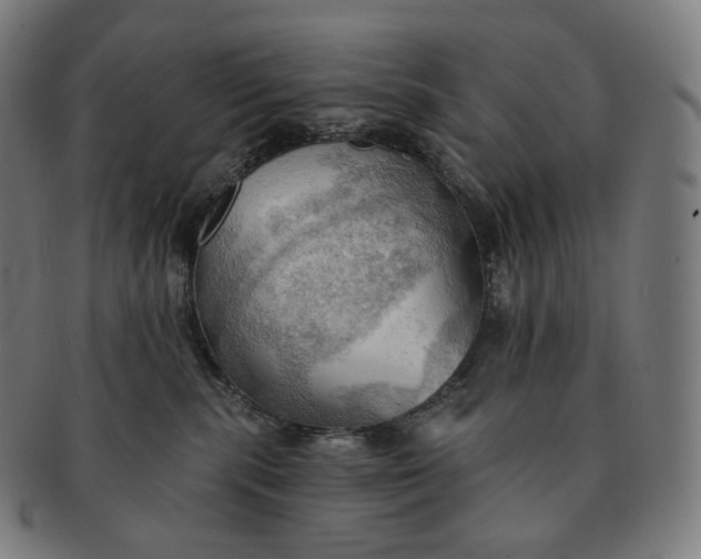 X0000091290283200708241036