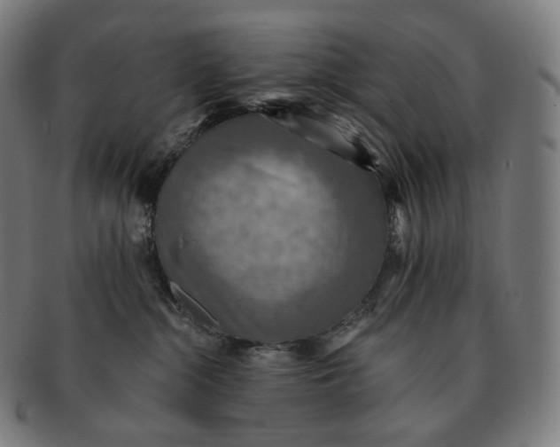 X0000091290284200708241036