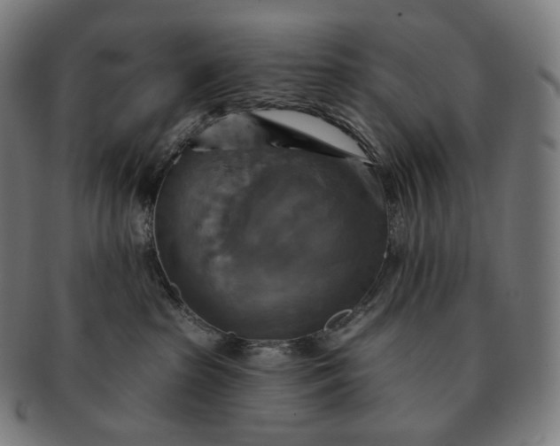 X0000091290285200708241036