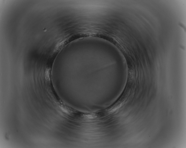 X0000091290286200708241036