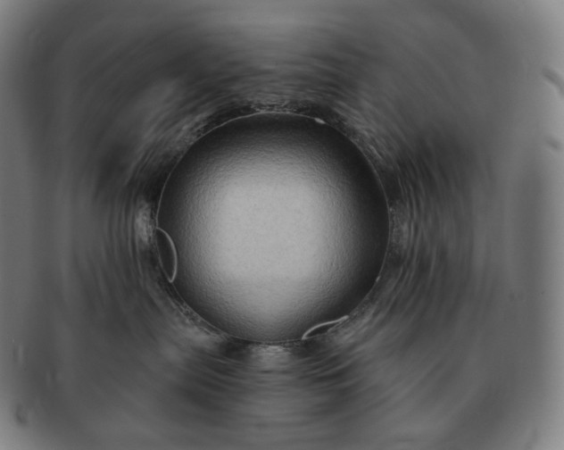 X0000091290287200708241036