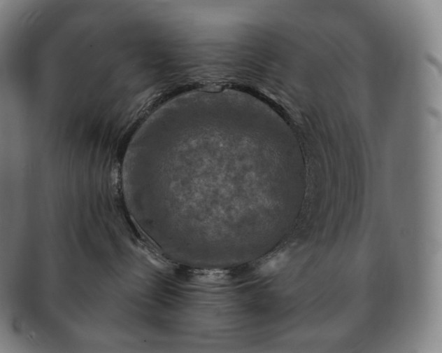 X0000091290288200708241036