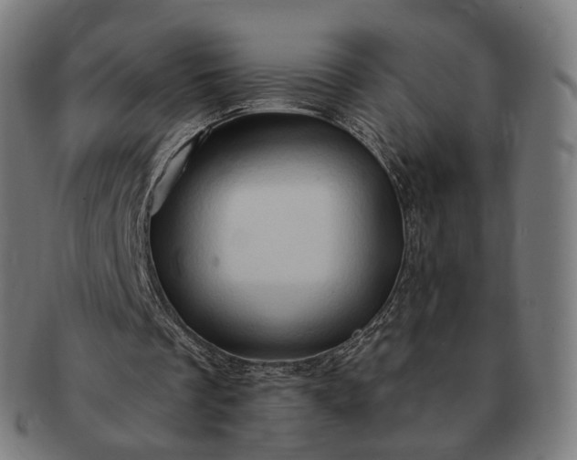 X0000091290289200708241035