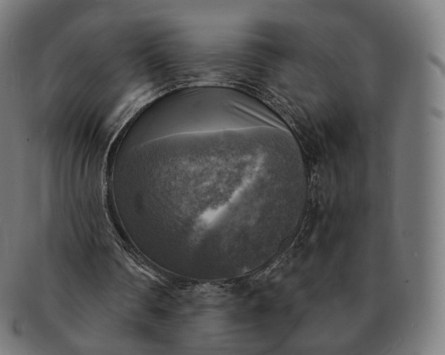 X0000091290290200708241035