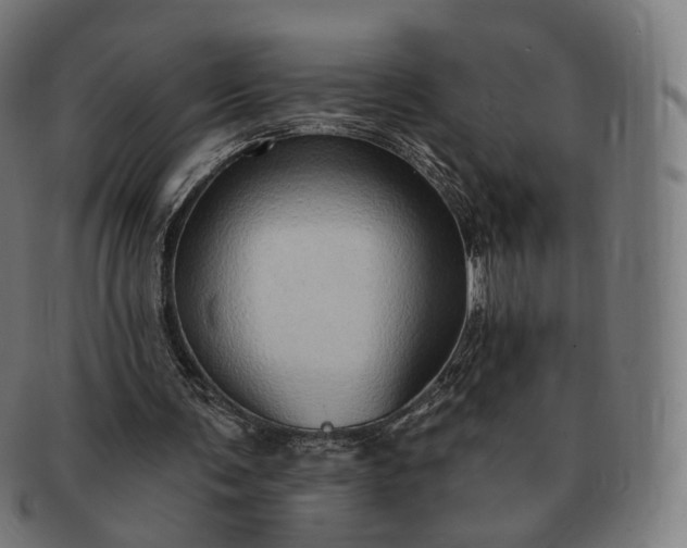 X0000091290291200708241035