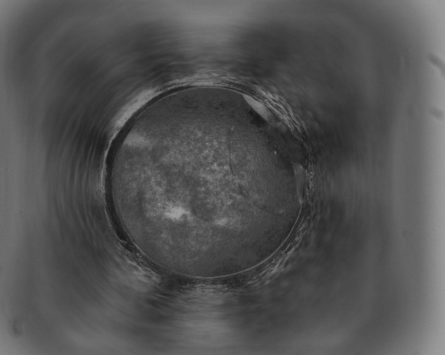 X0000091290292200708241035