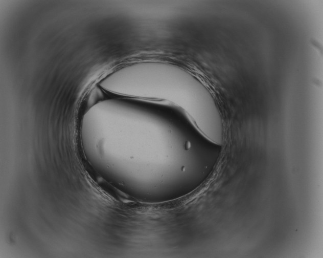 X0000091290293200708241035